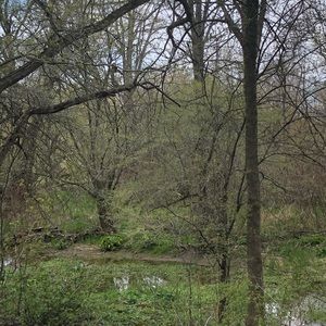 Meet your Posher, Moira